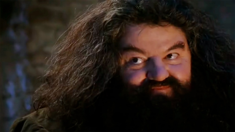 Adis de todos los fans al entraable Hagrid Captura de pantalla